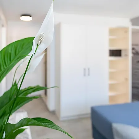 Baur - Regarda Travel * Бардолино